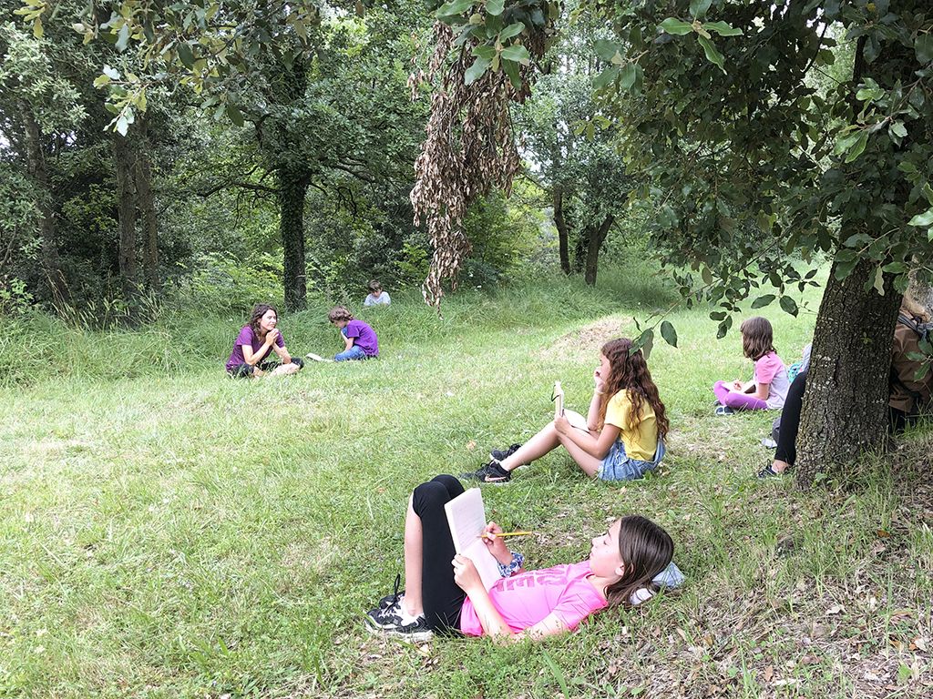 activitats educ br 01