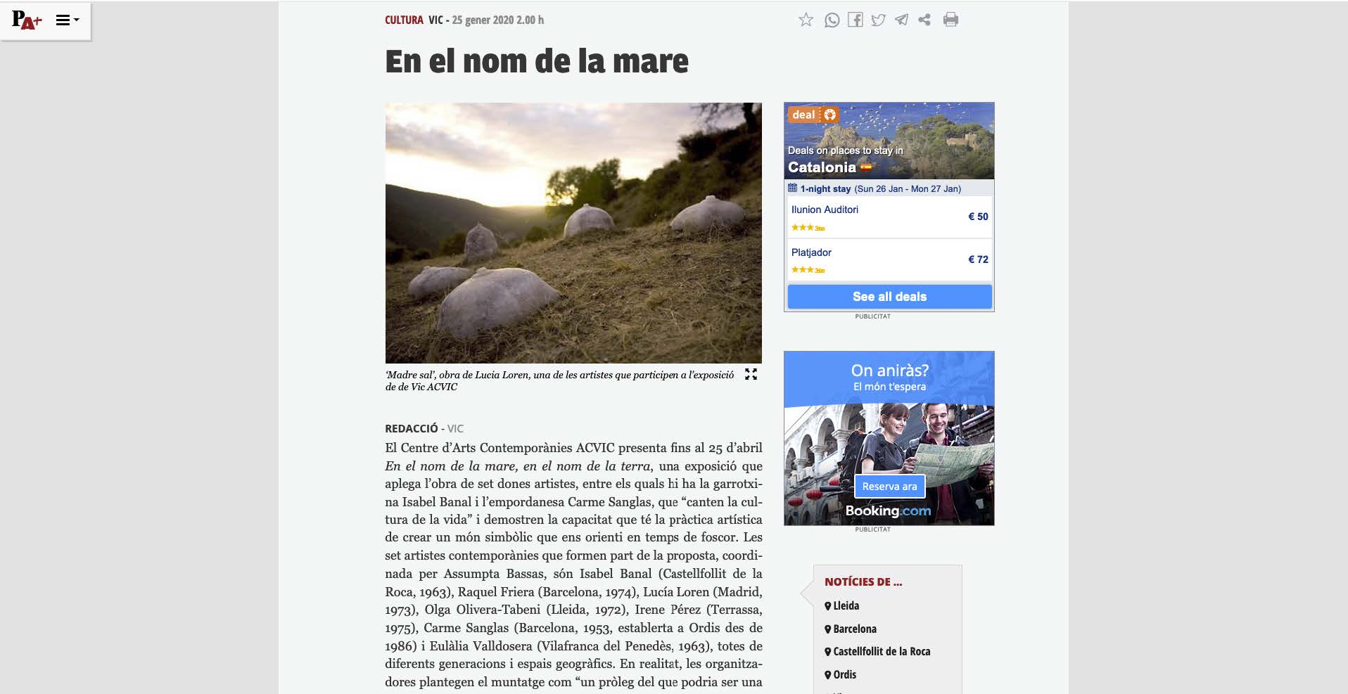 25.01.2020 elpuntavui