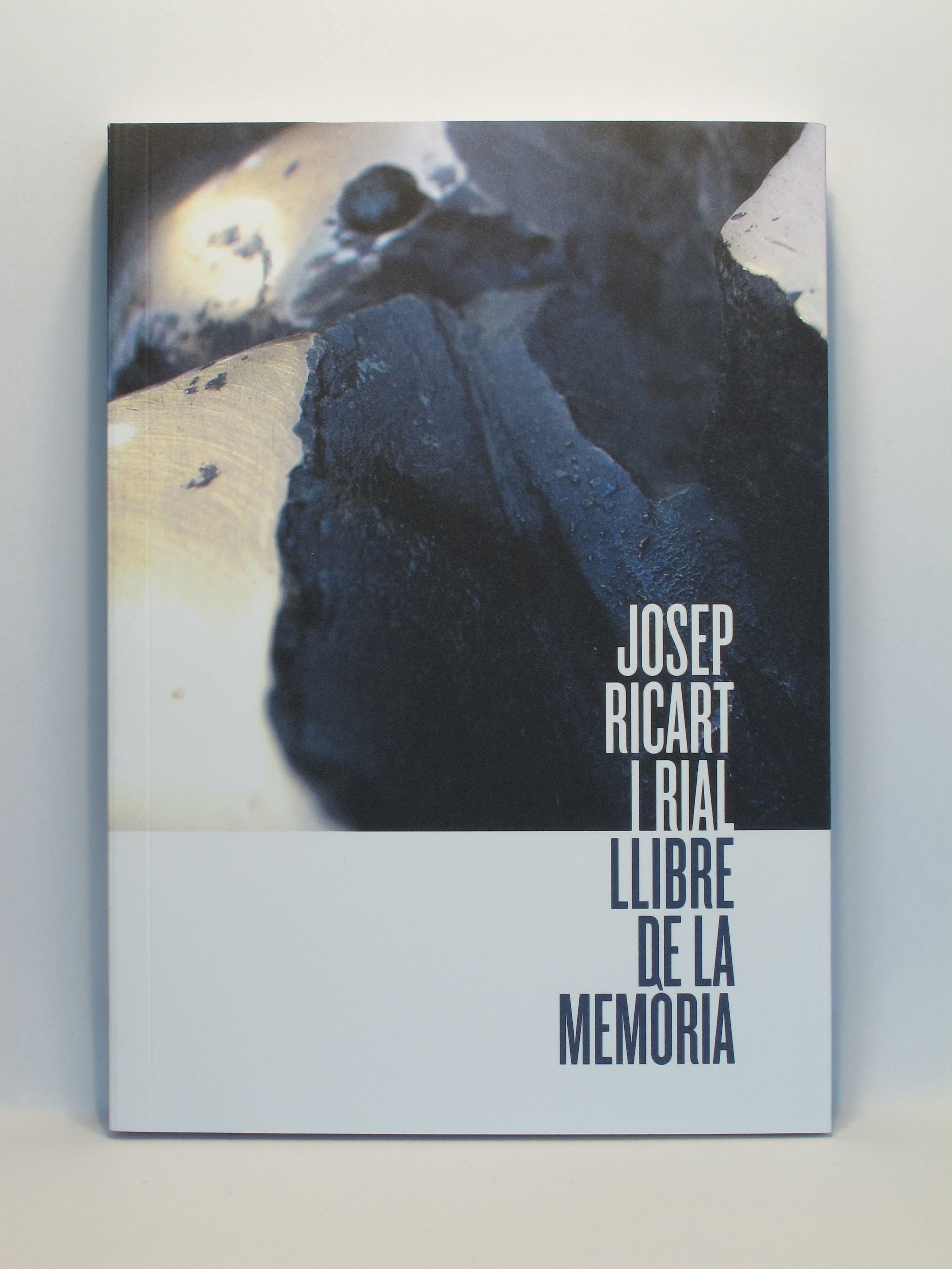 llibre ricart